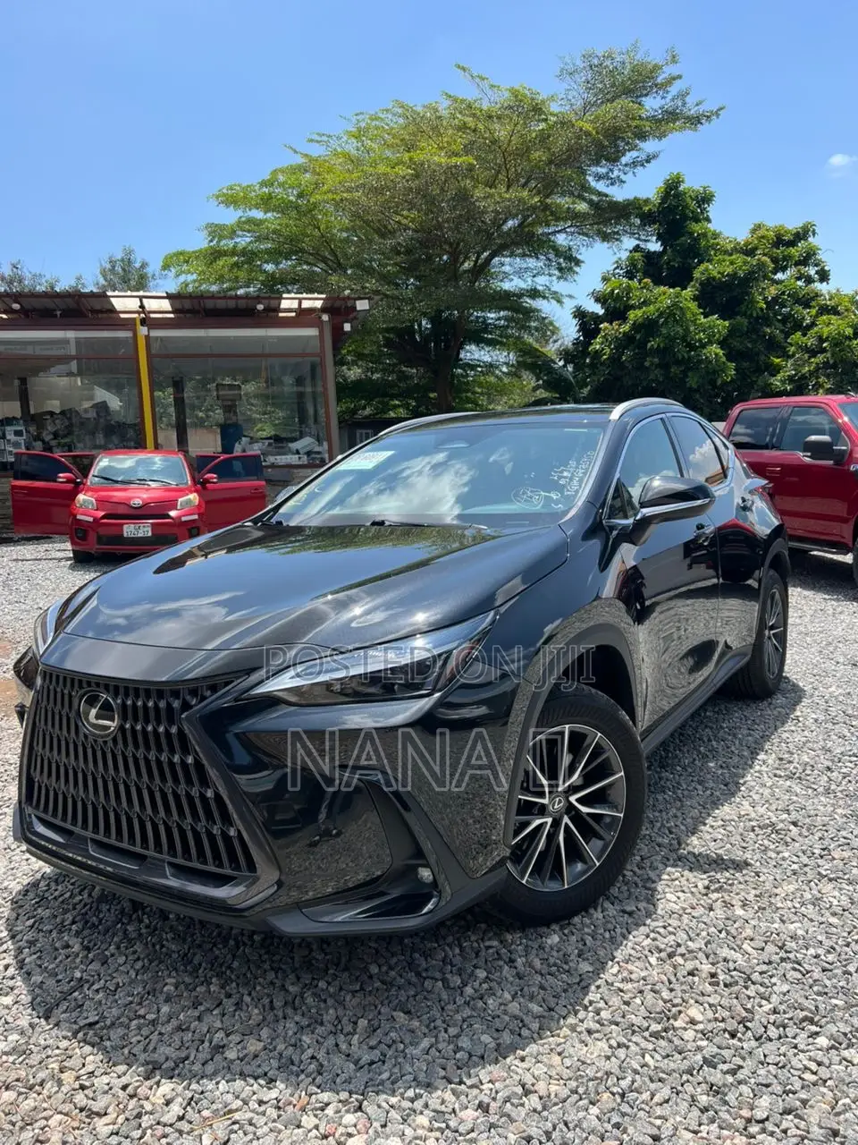Lexus NX 250 AWD 2023 Black