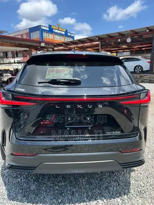Lexus NX 250 AWD 2023 Black