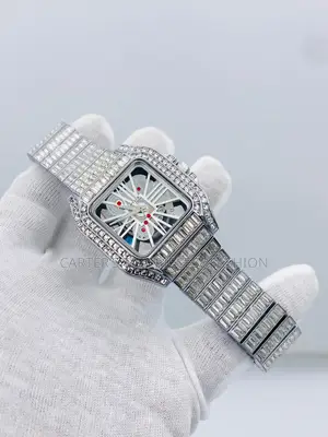 Cartier Geneve Ices Watch