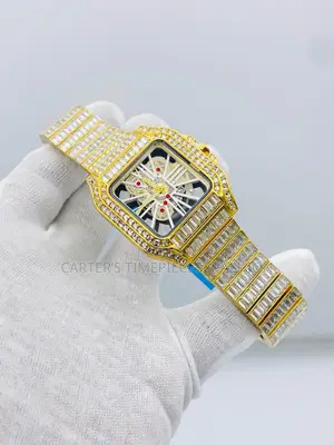Cartier Geneve Ices Watch