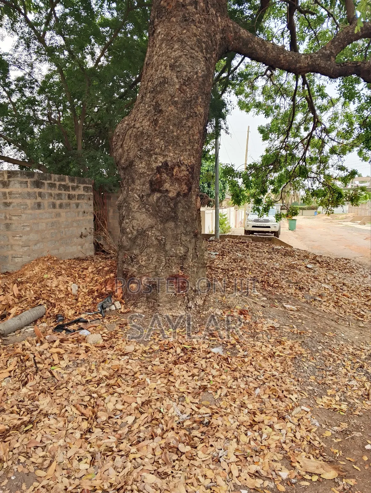Full Plot 70/100 for Sale Community 11-Prime Zone .