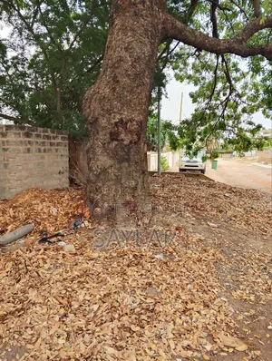 Full Plot 70/100 for Sale Community 11-Prime Zone .