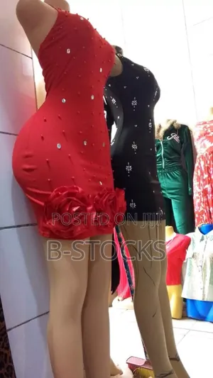 Ladies Dress