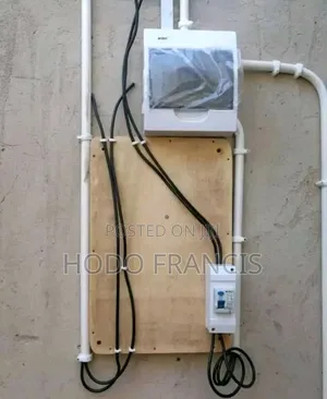Professional Electrician