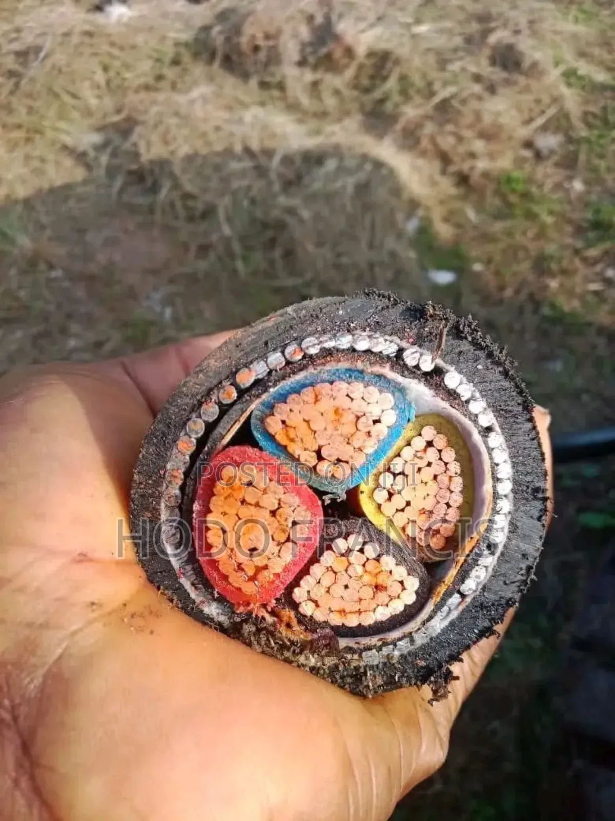 Professional Electrician