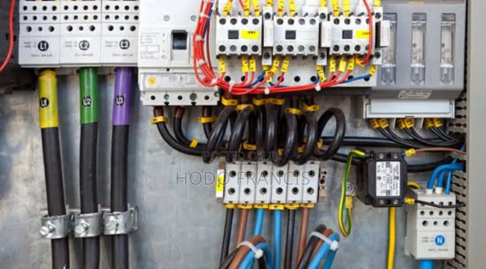 Professional Electrician