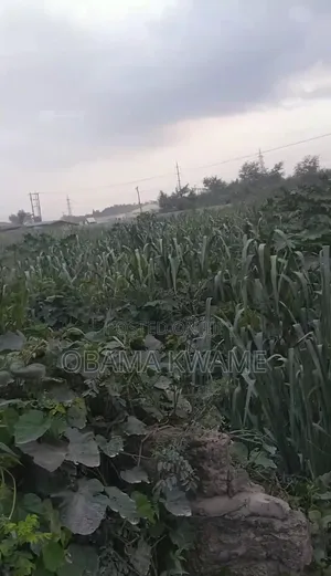 Walled 7 Plots of Roadside Land for Sale at Accra to Nsawam Highway