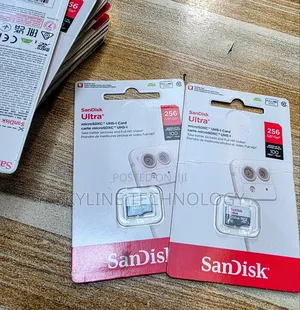 Sandisk 256gb Sd Card.