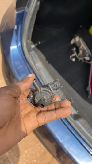 Evaporative Emission Valve/Purge