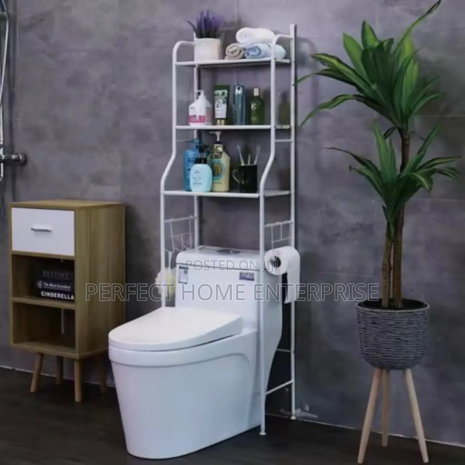 Toilet And Washing Machine Rack