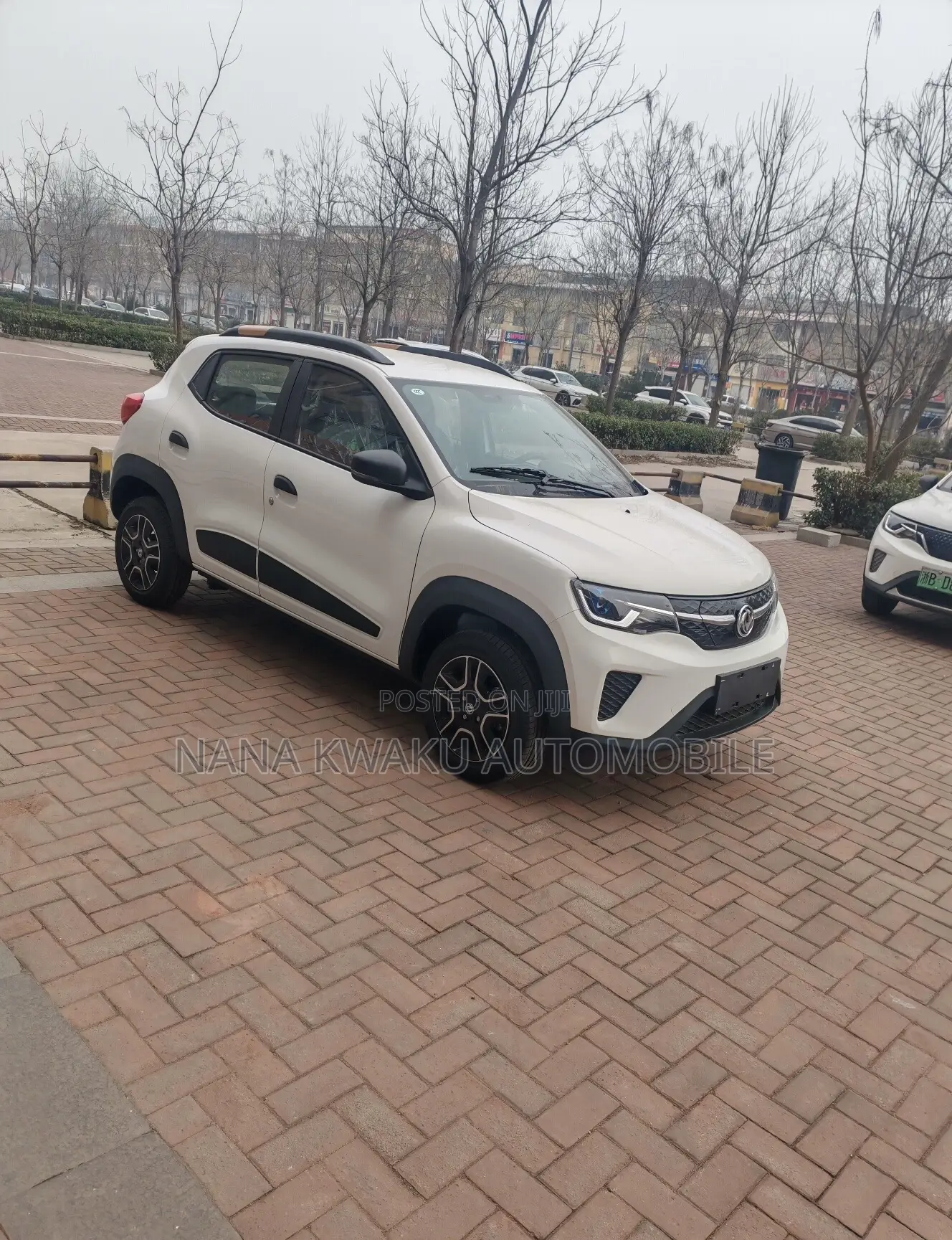 Dongfeng EV EX1 33 kW FWD 2022 White