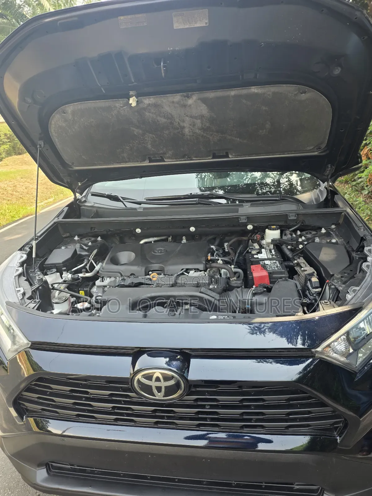 Toyota RAV4 XLE 2021 Blue