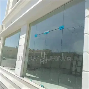 Frameless Double Swing Doorr