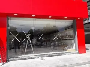 Frameless Double Swing Doorr