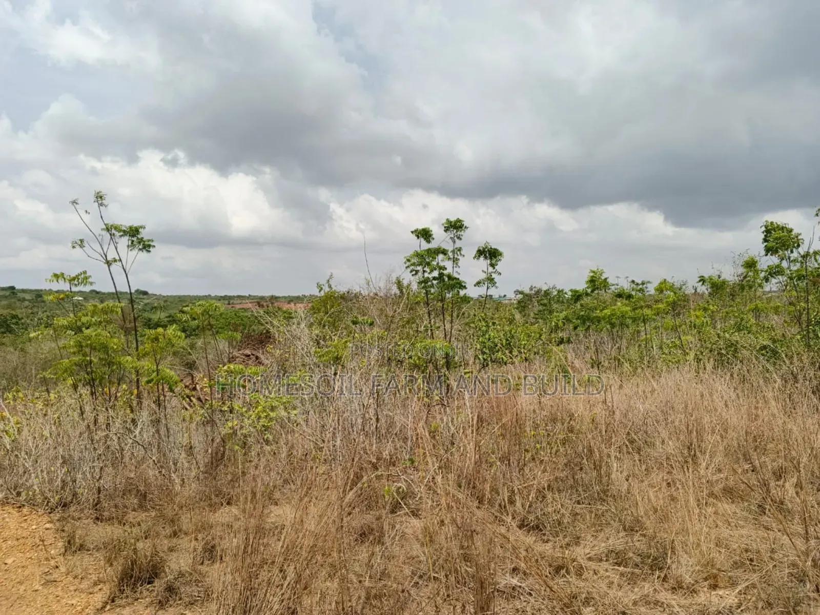 14 Plots Of Prime, Genuine And Affordable Lands For Sale, At Fetteh.