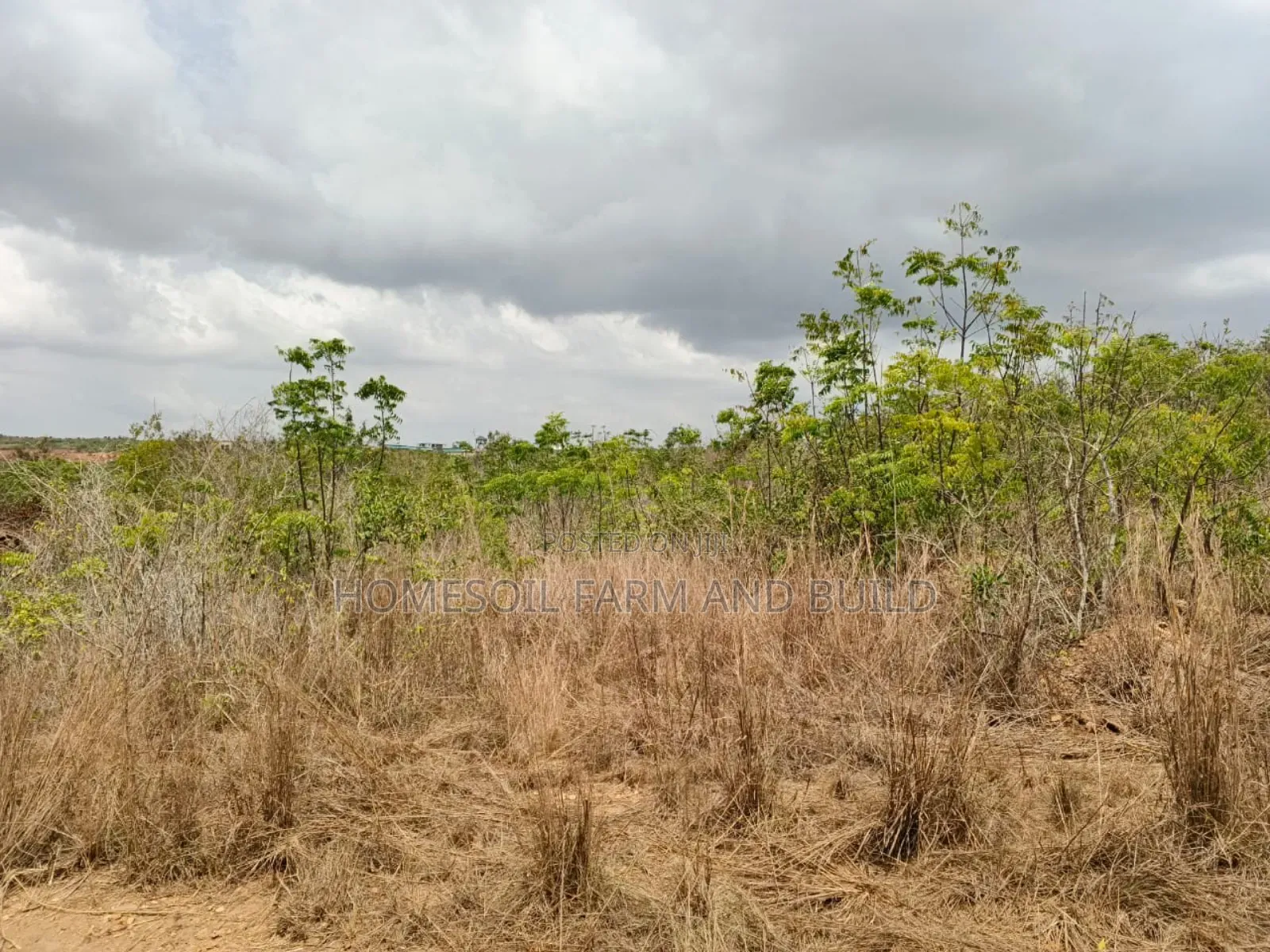 14 Plots Of Prime, Genuine And Affordable Lands For Sale, At Fetteh.