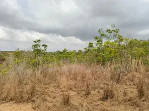14 Plots Of Prime, Genuine And Affordable Lands For Sale, At Fetteh.