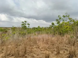 14 Plots Of Prime, Genuine And Affordable Lands For Sale, At Fetteh.
