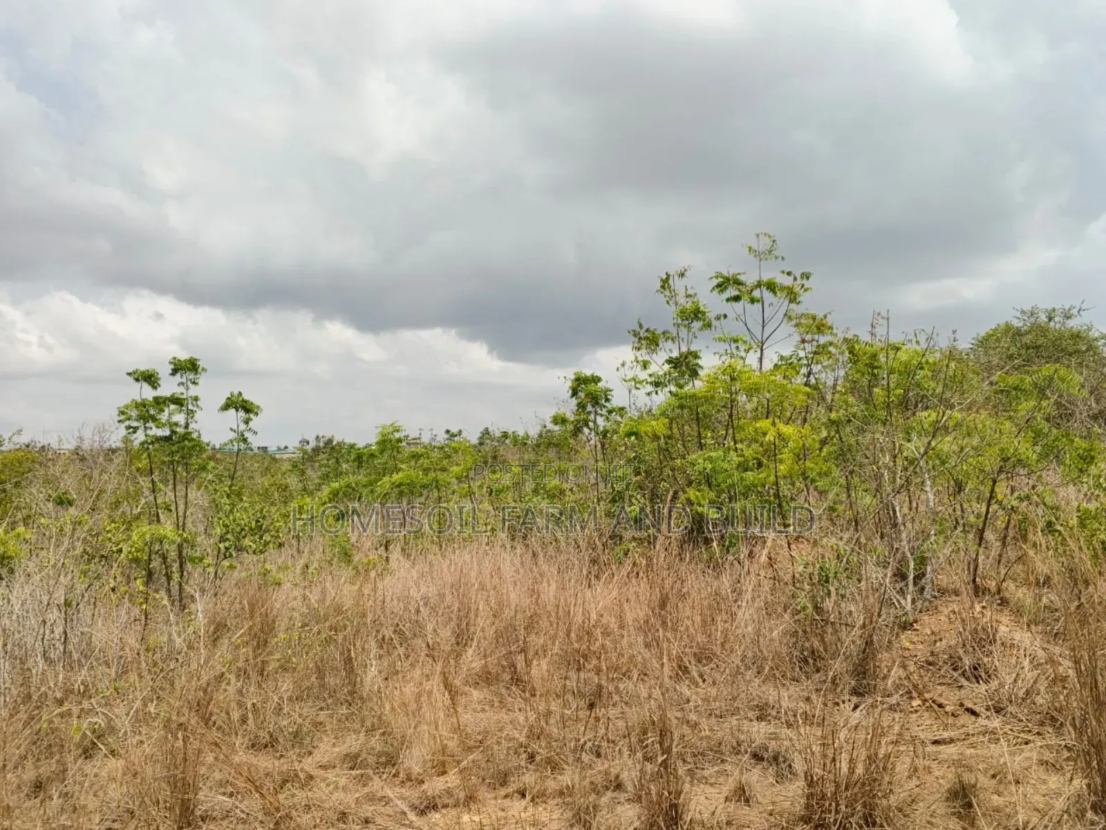 14 Plots Of Prime, Genuine And Affordable Lands For Sale, At Fetteh.