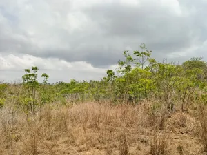 14 Plots Of Prime, Genuine And Affordable Lands For Sale, At Fetteh.