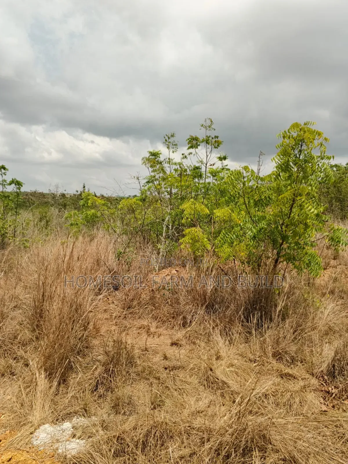 14 Plots Of Prime, Genuine And Affordable Lands For Sale, At Fetteh.
