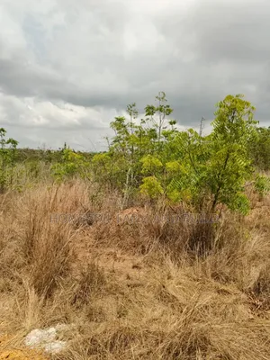 14 Plots Of Prime, Genuine And Affordable Lands For Sale, At Fetteh.