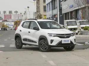 Dongfeng EV EX1 2021 Black