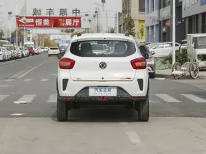 Dongfeng EV EX1 2021 Black