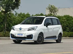 Car 2020 White