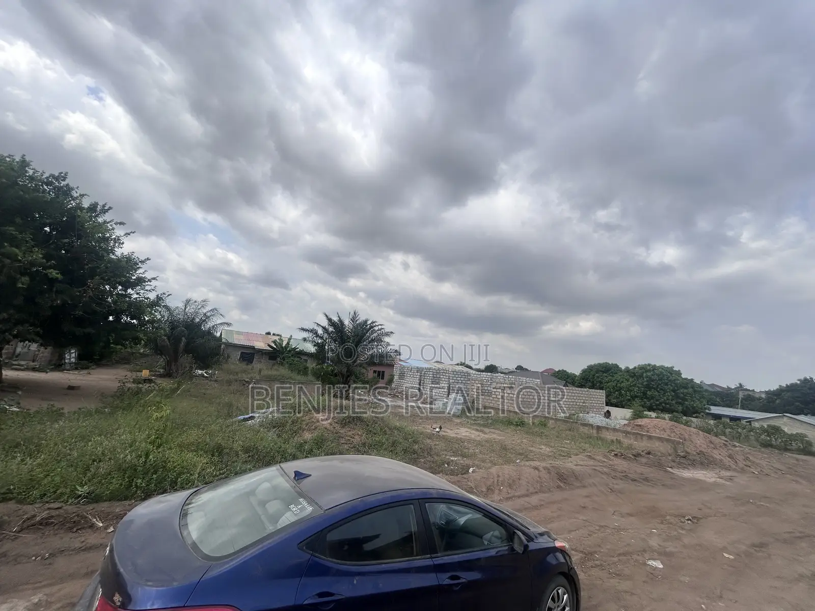 Full Plot at Alico City