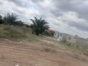 Full Plot at Alico City
