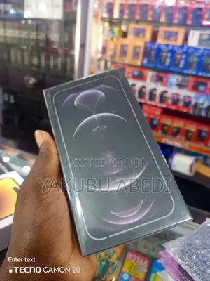 New Apple iPhone 12 Pro Max 256 GB Silver