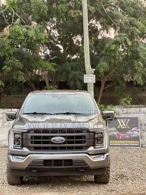Ford F-150 LARIAT 2021 Gray