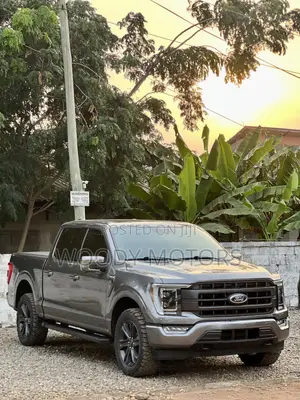 Ford F-150 LARIAT 2021 Gray
