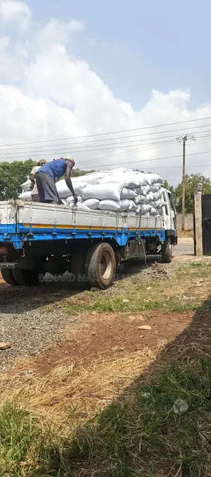 Vietnamese Fragrance Rice