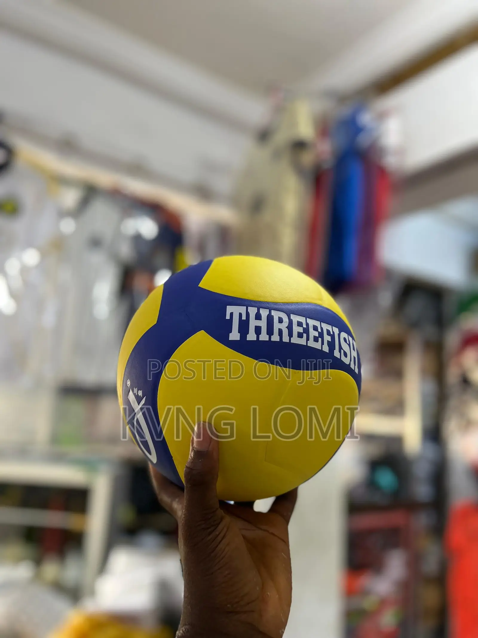 Basketball and Volleyball Balls
