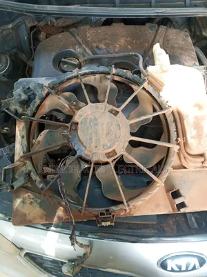 Auto Electrician