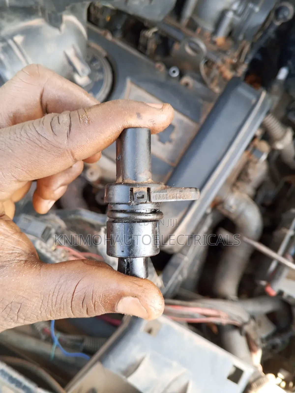 Auto Electrician