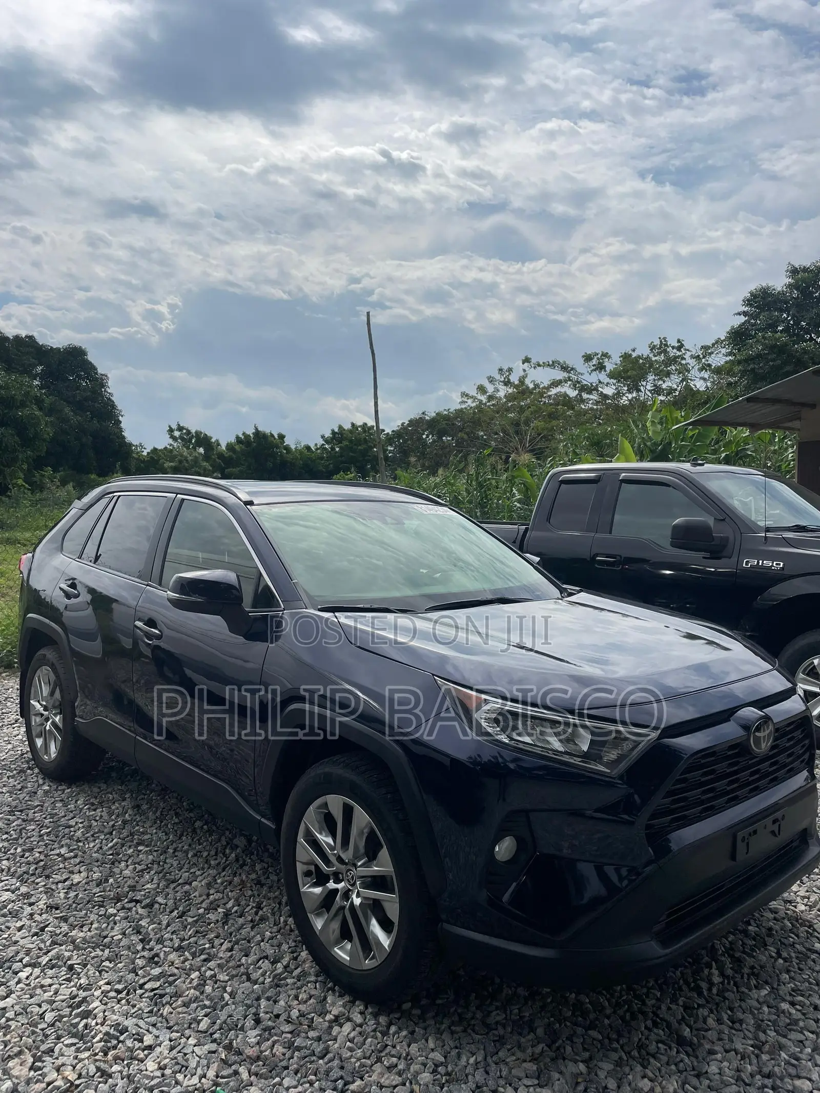 Toyota RAV4 XLE Premium AWD 2020 Blue