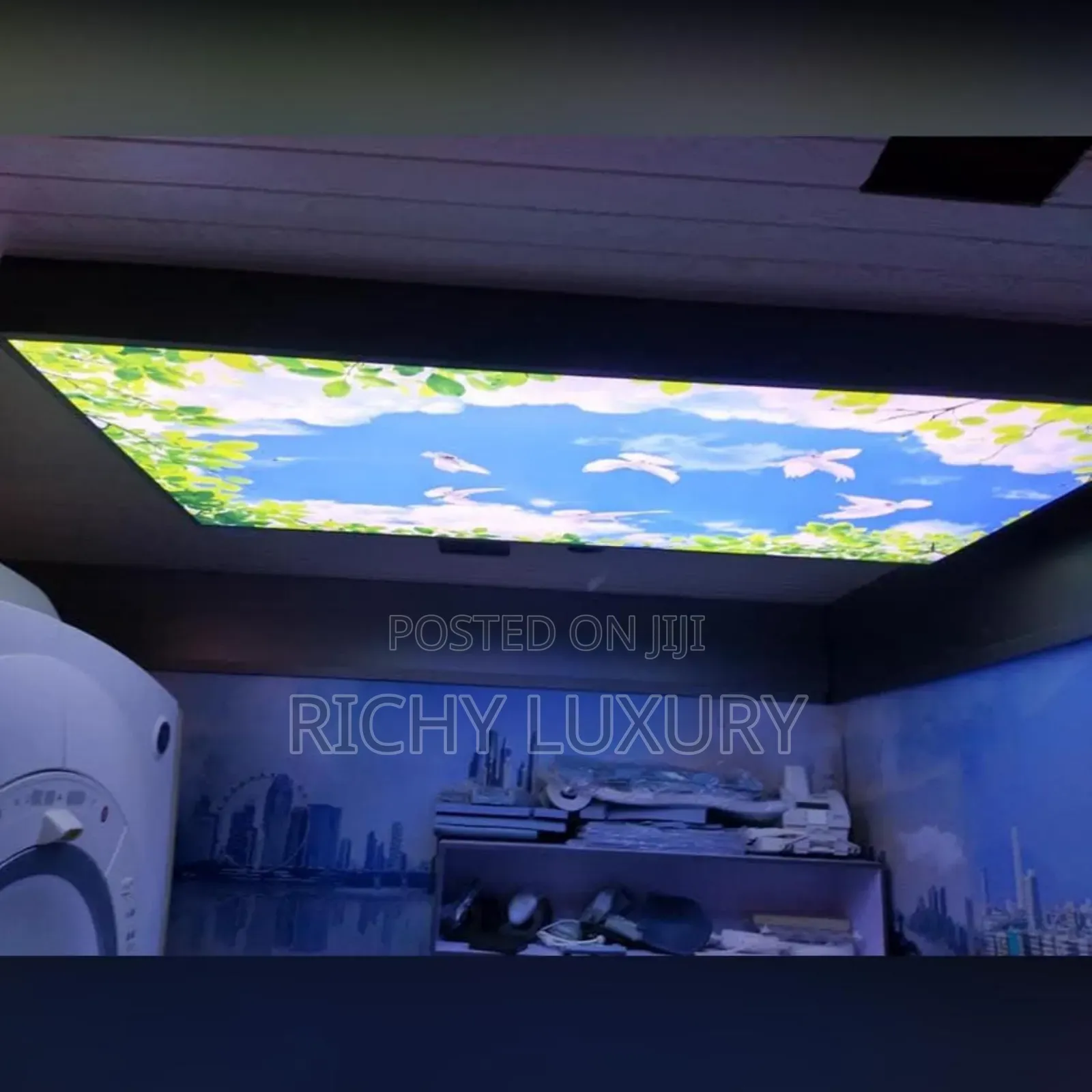3d Translucent Stretch Ceiling