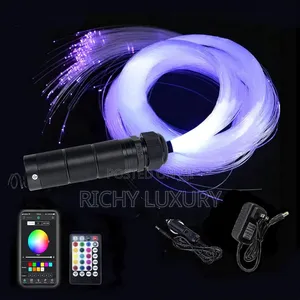 Fiber Optic Star Light