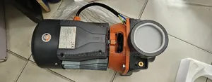 Leo Water Pump