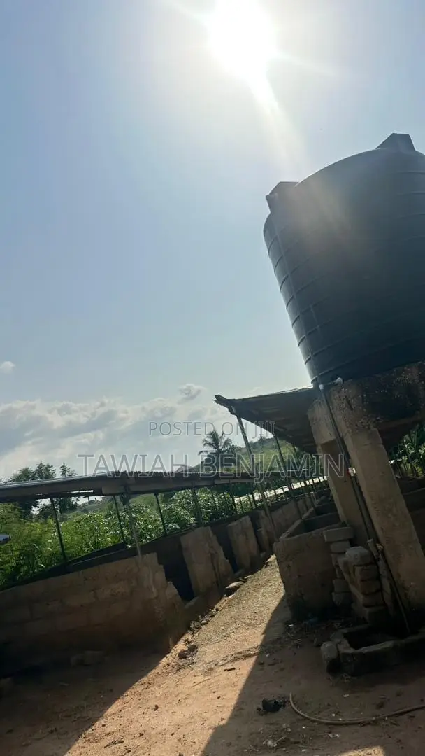 Land and Poultry Farm