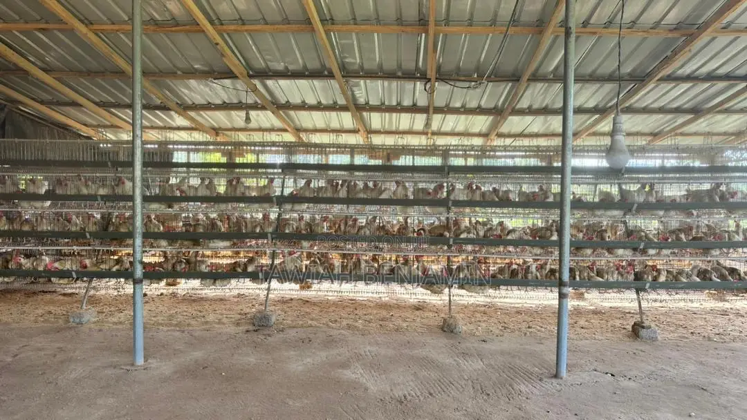 Land and Poultry Farm