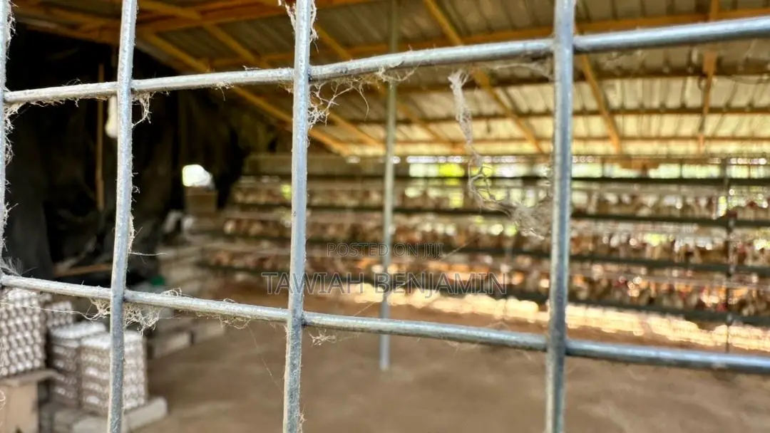 Land and Poultry Farm
