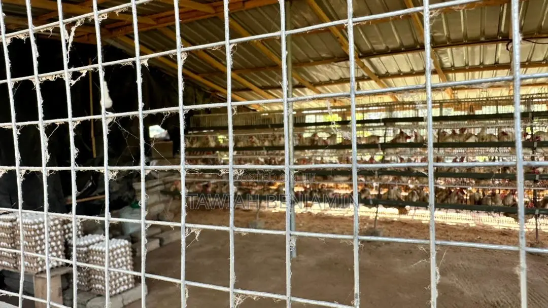 Land and Poultry Farm