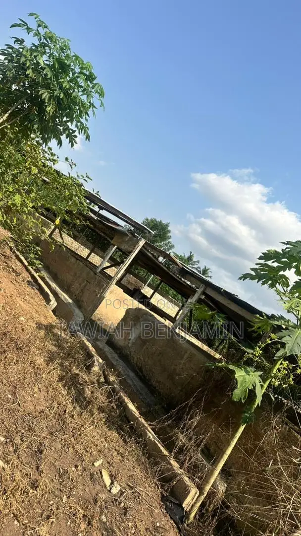 Land and Poultry Farm