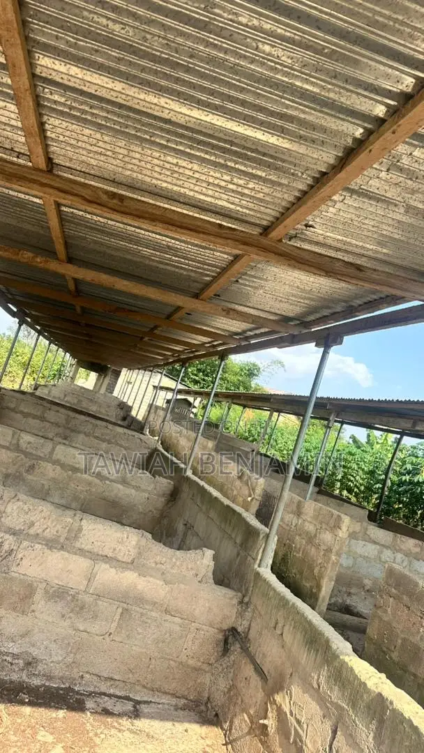Land and Poultry Farm