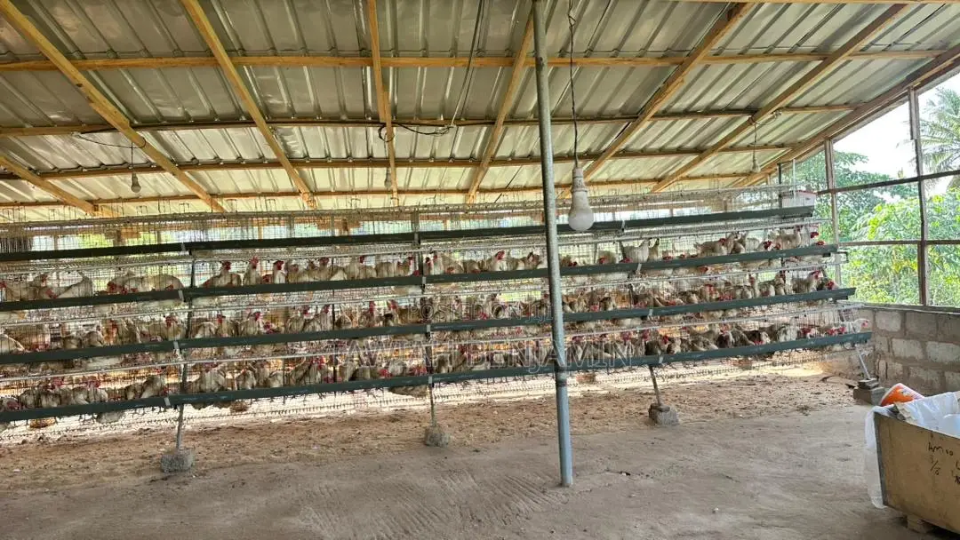 Land and Poultry Farm