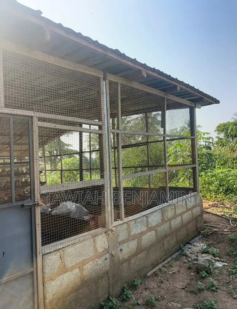 Land and Poultry Farm